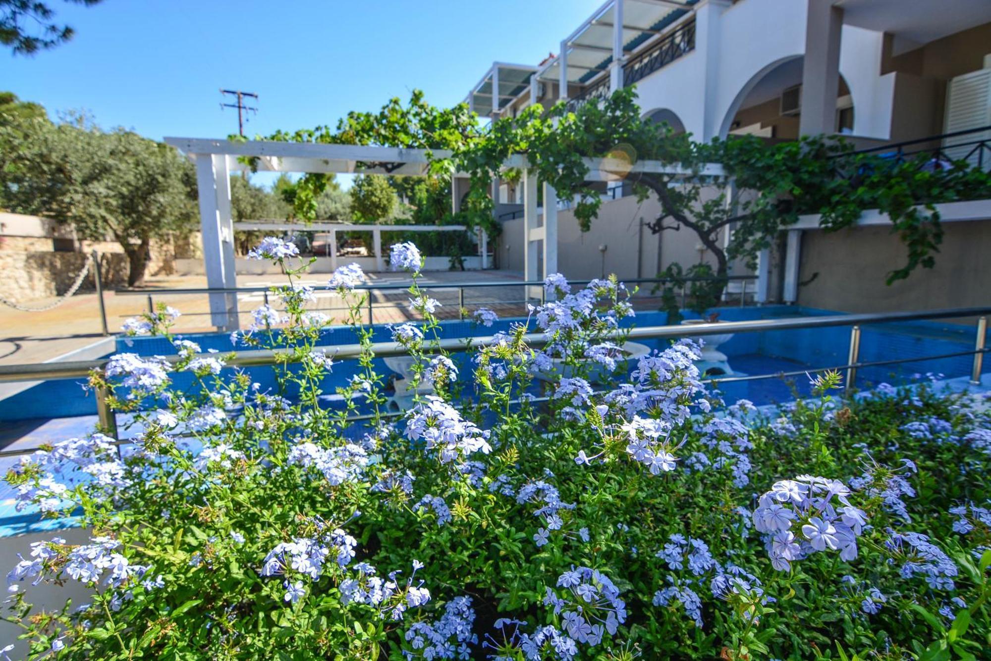 Epavlis Beach Resort بورتو خيلي المظهر الخارجي الصورة